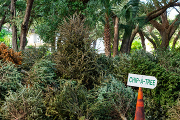 Local Chip-a-Tree Christmas tree recycling program - Topeekeegee Yugnee (TY) Park, Hollywood,...
