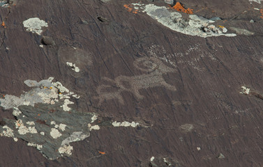 Obraz premium Ancient rock carvings