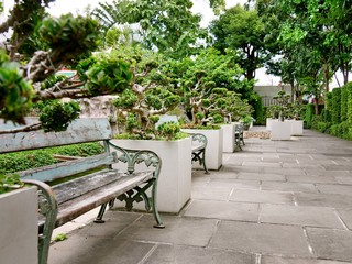 Garden in Wat Prayurawongsawat Worawihan,Bangkok,Thailand