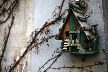 Grey wall stone texture with dry plants on it and nesting box