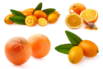 Citrus Fruit compositions  isolated on white background. Orange, kumquat. Collection. - Image