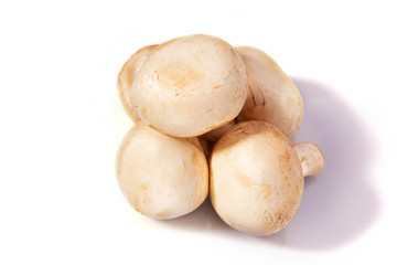 Mushrooms champignons lie on a white isolated background
