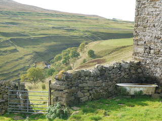 Yorkshire Dales stone wall and animal drink bath