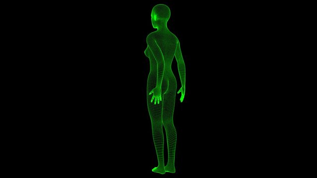 4K Futuristic Wireframe Android AI Woman Standing Straight Seamless Loop