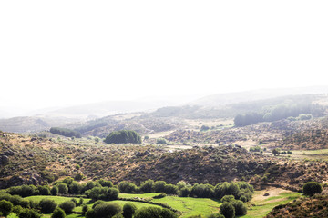 Fototapeta premium Panoramic of some beautiful green mountains with paths and stones