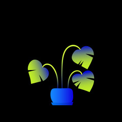 Flat plant. Indoor. Flower pots. Leaves. Foliage. Trendy vector collection. Potted plant. Garden. Jungle. Flat design. Gradient colors. Outdoor. Tropical.