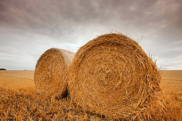 Huge, round and heavy