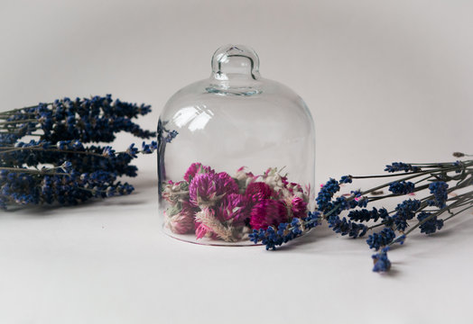 Dried flowers of globe amaranth with lavender. Decoration.