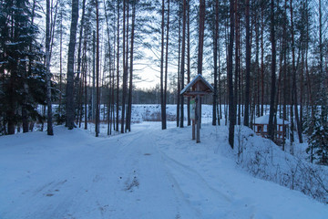 Winter  forest lake 32