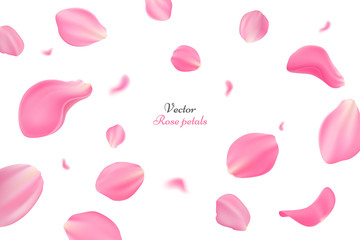 Falling pink rose petals isolated on white background. Vector illustration with beauty roses petals. Applicable for design of greeting cards on March 8, wedding and St. Valentine's Day. Eps 10 - obrazy, fototapety, plakaty