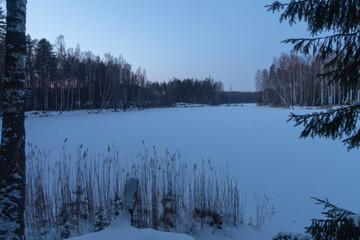 Winter  forest lake 3