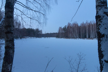 Winter  forest lake 2
