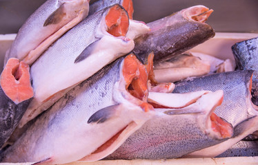 Fresh and beautiful trout fish carcass ready for sale