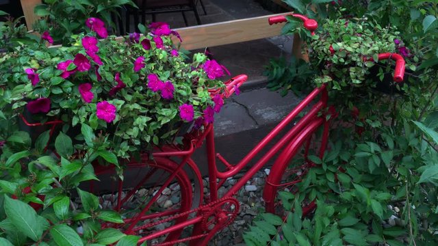 Red Garden Bicycle