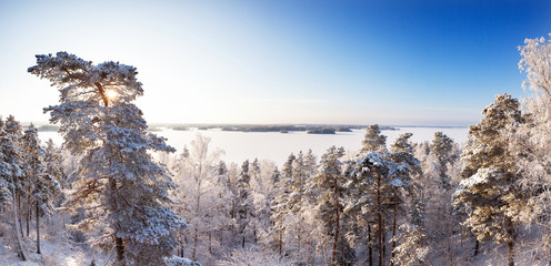 Winter forest in sunshine with a lake and blue sky in bakcground