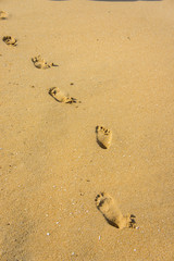 Footprints on sandy beach.