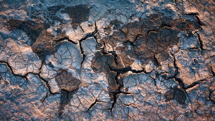 World map with dried and cracked soil texture