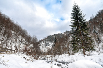 Fototapeta na wymiar winter mountain landscape with fir trees and snow