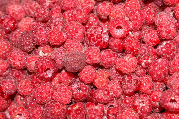 wild raspberry