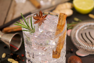 Gin and tonic cocktails with rosemary star anise and cinnamon, botanicals to decorate the cocktail...
