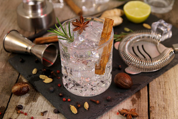 Gin and tonic cocktails with rosemary star anise and cinnamon, botanicals to decorate the cocktail...