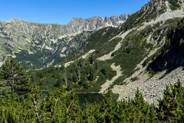 Landscape with Clear waters of Fish Vasilashko lake, Pirin Mountain, Bulgaria
