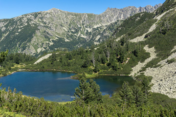 Naklejka na ściany i meble Landscape with Clear waters of Fish Vasilashko lake, Pirin Mountain, Bulgaria