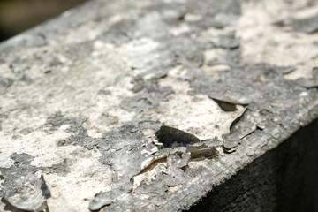 Peeling paint background