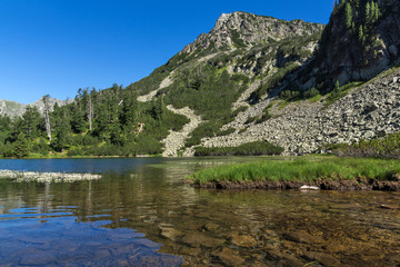 Fototapeta na wymiar Landscape with Clear waters of Fish Vasilashko lake, Pirin Mountain, Bulgaria