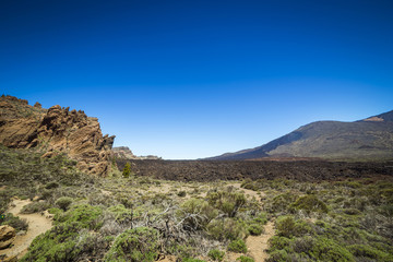 Fototapeta na wymiar Beautiful landscape of Teide national park, Tenerife, Canary island, Spain