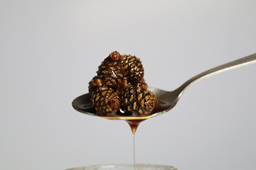 jam from cedar cones, useful preparations for the winter. vegan food, raw, healthy food. unusual...