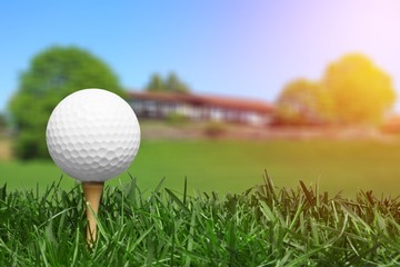 golf ball with a golf tee on a grass