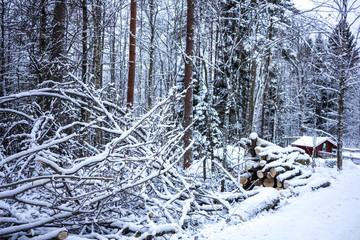 winter chaos with many snow 
