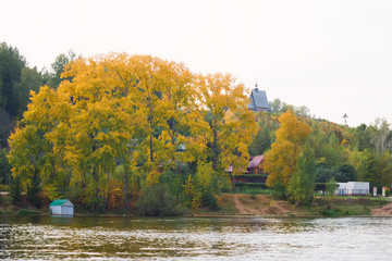 Big tree with golden leaves on the bank of the Volga, autumn landscape, cloudy weather