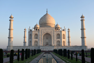Fototapeta na wymiar Early morning light on the white marble tiles of the Taj Mahal, Agra, India. 