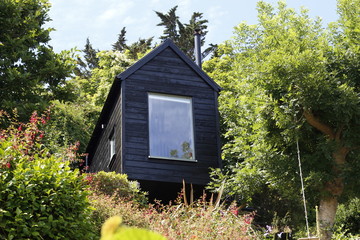 wooden house by the woods