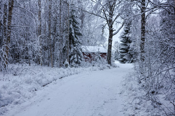 Naklejka premium winter chaos with many snow 
