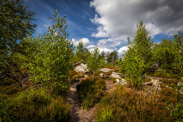 Sandy footpath, in green forest with dramatic blue cloudy sky, to the stone labyrinth Bledne skaly in Szczeliniec Wielki in National Park Stolowe Mountains, Sudety, Poland