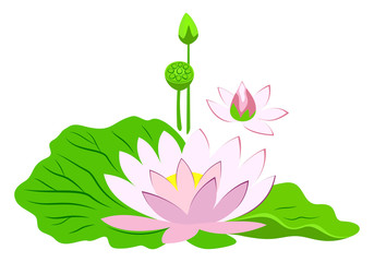 Pink lotus flower with green leaves. Poster with water lily vector illustration isolated on white background.