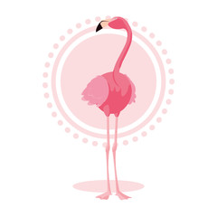 beautiful flamingo bird stand