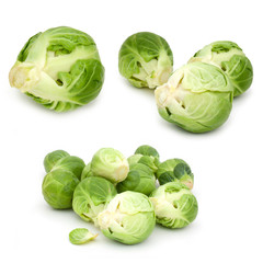 Fototapeta premium Choux de Bruxelles / Brussels sprouts