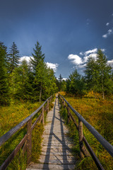 Fototapeta na wymiar Wooden path around small march near stone labyrinth Bledne skaly, Szczeliniec Wielki in National Park Stolowe Mountains