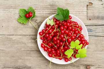 white plate with full red currant on wooden old background, green garden background on blur.