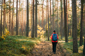 Active Young Adult Caucasian Woman Backpacker Walking In Autumn 
