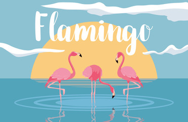 beautiful flamingos birds flock in the landscape