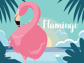 beautiful flamingo bird stand in the landscape © djvstock