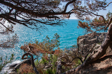 Landscape of see side in Alupka