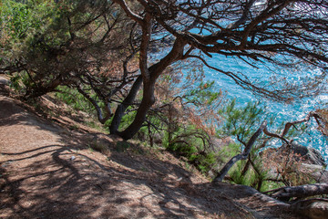 Landscape of see side in Alupka