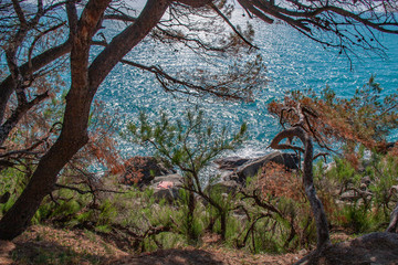 Landscape of see side in Alupka