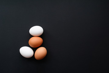 chicken eggs on black background